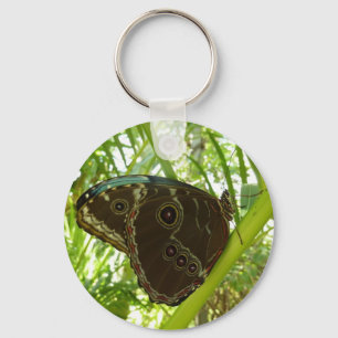 Blue Morpho Butterfly Natuur Fotografie Sleutelhanger