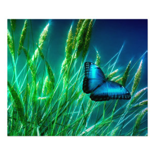 Blue Morpho Butterfly op Green Grass Foto Afdruk