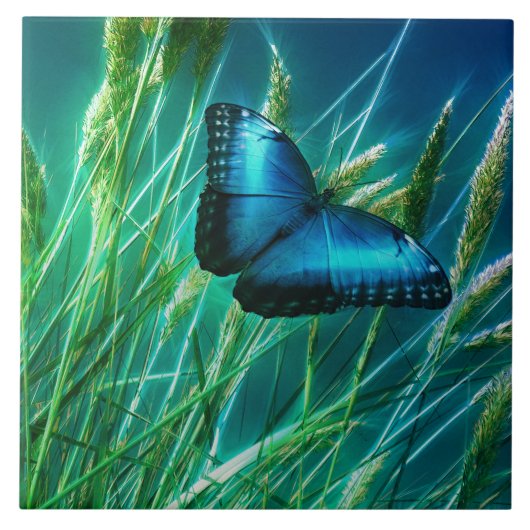 Blue Morpho Butterfly op Green Grass Tegeltje (Voorkant)
