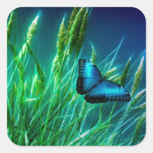 Blue Morpho Butterfly op Green Grass Vierkante Sticker