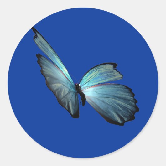 Blue Morpho Butterfly Ronde Sticker (Voorkant)