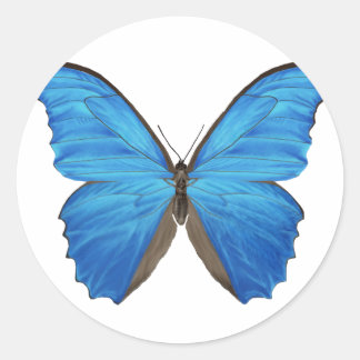 Blue Morpho Butterfly Ronde Sticker