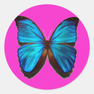 Blue Morpho Butterfly Ronde Sticker