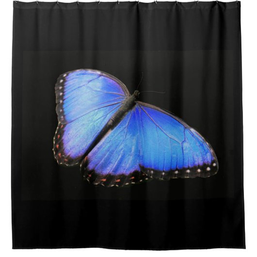 Blue Morpho Butterfly Shower Curtain Douchegordijn (Voorkant)