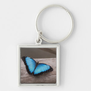 Blue Morpho Butterfly Sleutelhanger