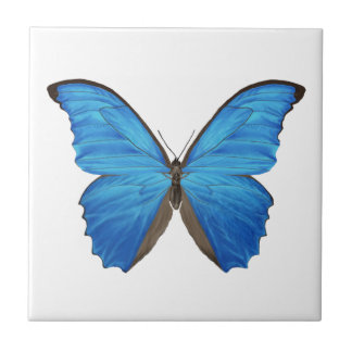 Blue Morpho Butterfly Tegeltje