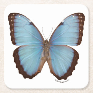 Blue Morpho Butterfly Vierkante Kartonnen Onderzetter