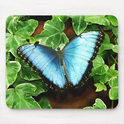 Blue Morpho Mousepad Muismat (Voorkant)
