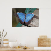 Blue Morpho Print (Keuken)