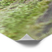 Blue Morphos Poster -36x24 - andere beschikbare fo (Hoek)