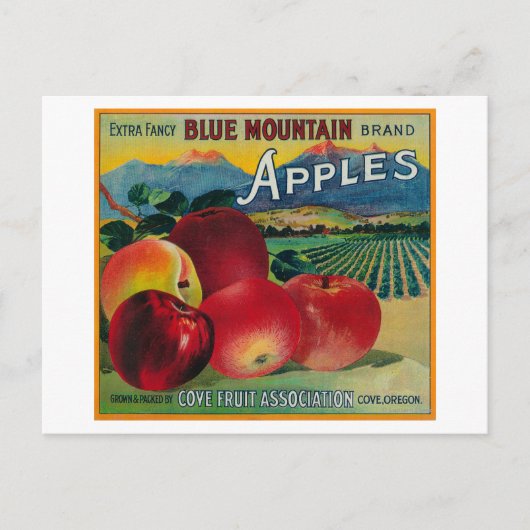 Blue Mountain Apple Crate LabelCove, OF Briefkaart (Voorkant)