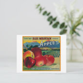 Blue Mountain Apple Crate LabelCove, OF Briefkaart (Staand voorkant)