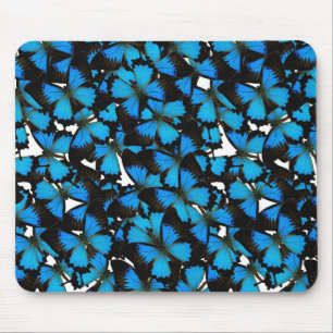 Blue Mountain Swallowtail Muismat