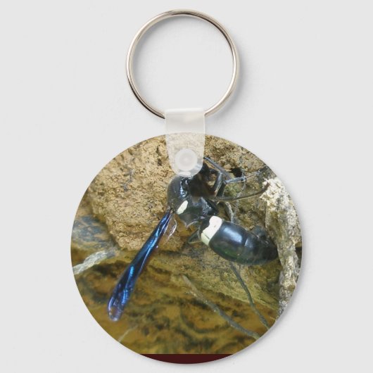 Blue Mud Dauber Wasp Sleutelhanger (Voorkant)