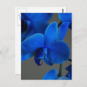 Blue Mystique Briefkaart (Voorkant / Achterkant)