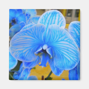 Blue Mystique Orchid Magnet Magneet