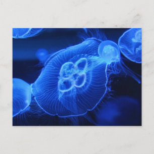 Blue Neon Jellyfish Briefkaart