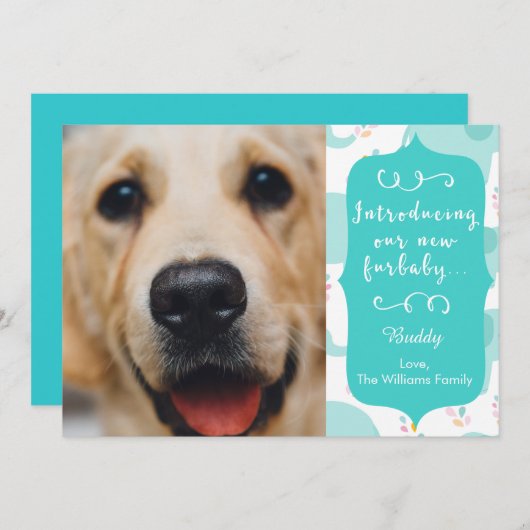 Blue New Furbaby aankondiging (Voorkant / Achterkant)