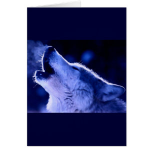 Blue Night & Howling Wolf Wenskaart