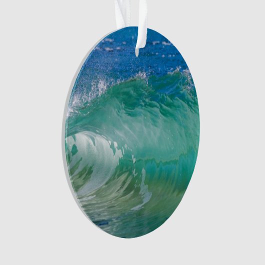 Blue Ocean Summer Beach Waves (devant)