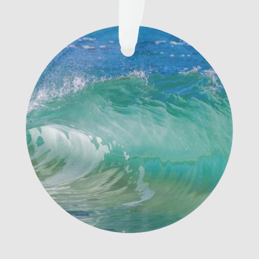 Blue Ocean Summer Beach Waves (devant)