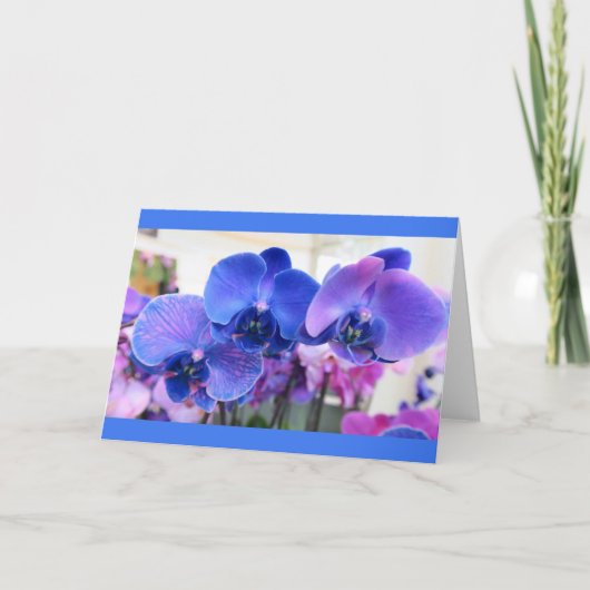 "Blue Orchids" - Alle gelegenheden Groet Kaart (Voorkant)