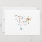 Blue Ornamenten Holiday Monogram Note Kaart Notitiekaartje (Achterkant)