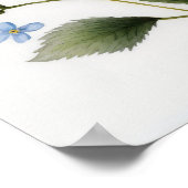 Blue Ouget Me Nots Flower Art Imprimer Poster (Coin)