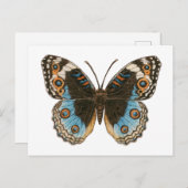 Blue Pansy Butterfly Briefkaart (Voorkant / Achterkant)
