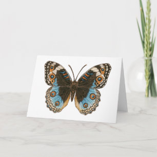 Blue Pansy Butterfly Kaart