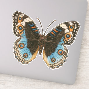 Blue Pansy Butterfly Sticker