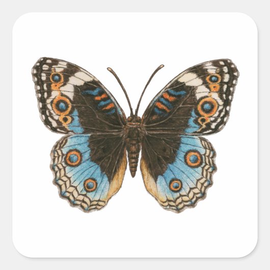 Blue Pansy Butterfly Vierkante Sticker (Voorkant)
