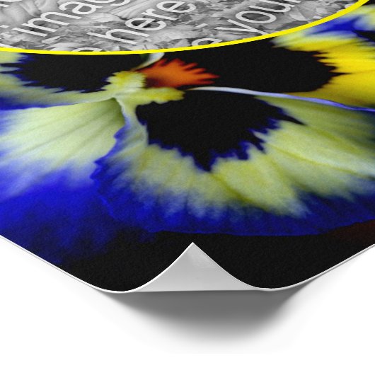 Blue Pansy Flower Lijst Creëer Uw eigen foto Poster (Hoek)
