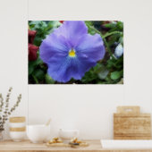 Blue Pansy Soft Sketch Poster (Keuken)