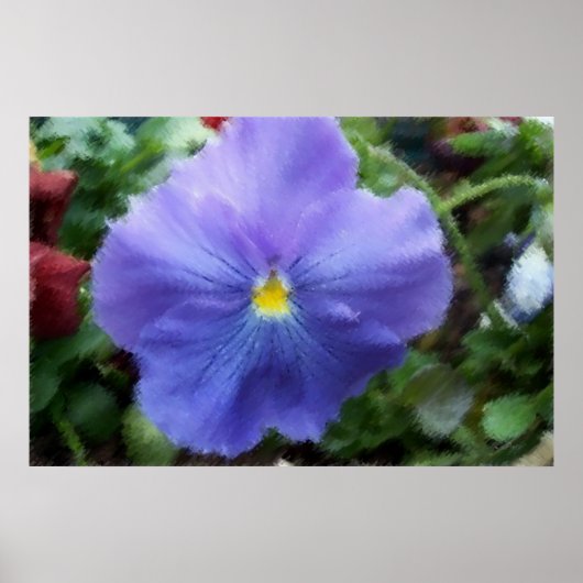Blue Pansy Soft Sketch Poster (Voorkant)