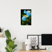 Blue Papaverposter Poster (Thuiskantoor)