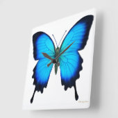 Blue Papilio Ulysses Butterfly Wall klok (Hoek)