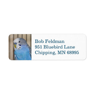 Blue Parakeet-retouradreslabel Etiket