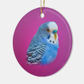 Blue Paraket Ornament (Links)