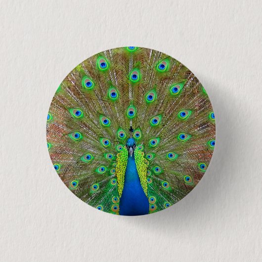 Blue Peacock #3 Button (Voorkant)