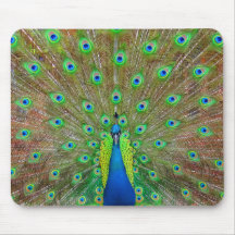 Blue Peacock #3 Muismat