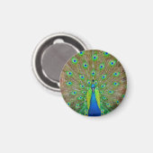 Blue Peacock #3 Round Magnet Magneet (Voorkant / Achterkant)