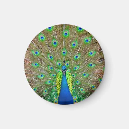 Blue Peacock #3 Round Magnet Magneet (Voorkant)