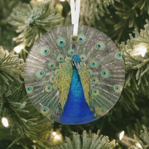 Blue Peacock-aansluiting foto Glas Ornament