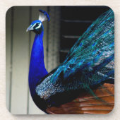 Blue Peacock Bier Onderzetter (Voorkant)