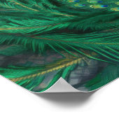 Blue Peacock Bird Poster (Hoek)