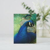 Blue Peacock Briefkaart (Staand voorkant)