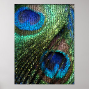 Blue Peacock Feather met Glas in lood-effect Poster