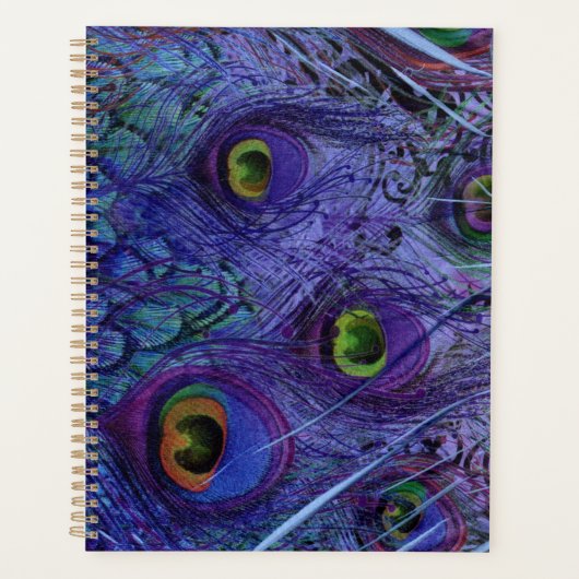 Blue Peacock Feather Planner (Voorkant)