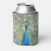 Blue Peacock Feather Plumage Blikjeskoeler (Blikje Achterkant)